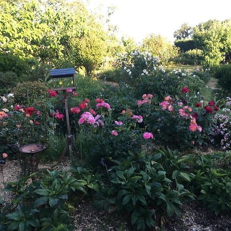 Domaine De La Botterie Bed & Breakfast Azay-le-Ferron Exterior photo