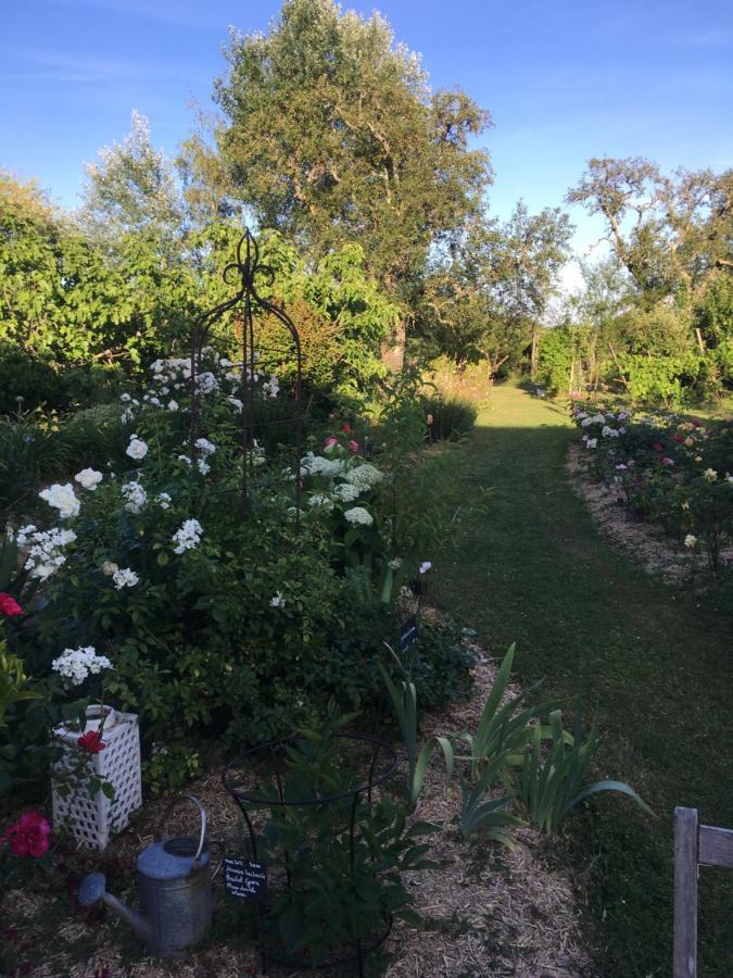 Domaine De La Botterie Bed & Breakfast Azay-le-Ferron Exterior photo