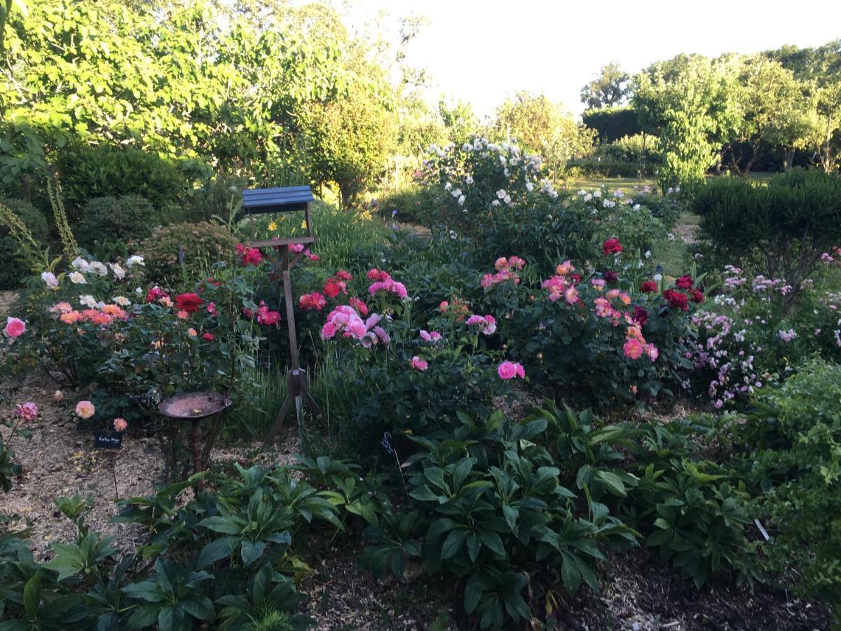 Domaine De La Botterie Bed & Breakfast Azay-le-Ferron Exterior photo